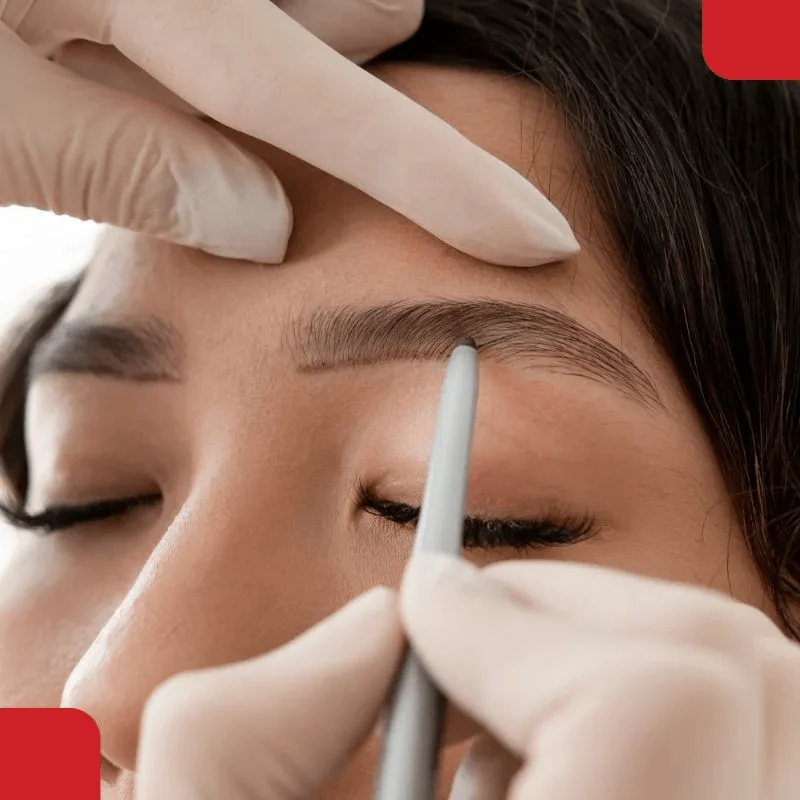 Eyebrow transplant design mapping